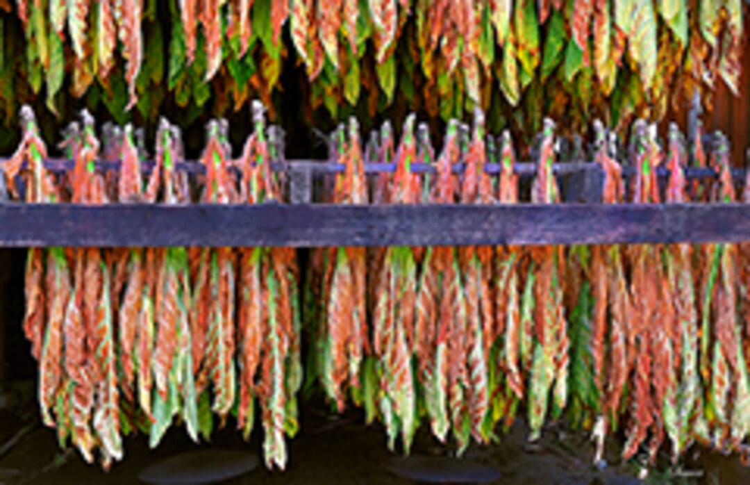 crab king augusta ga tobacco Long day out enjoying the city?, End it the RIGHT way., No reservations. No hassle., Come visit us today!, 📍 2857 #3 Tobacco Rd, Hephzibah, GA, 📍 266 Bobby Jones Expressway, Suite 17, Augusta, GA, crab king augusta ga tobacco Long day out enjoying the city?, End it the RIGHT way., No reservations. No hassle., Come visit us today!, 📍 2857 #3 Tobacco Rd, Hephzibah, GA, 📍 266 Bobby Jones Expressway, Suite 17, Augusta, GA,